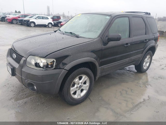 2007 Ford Escape Xlt მანქანა იყიდება აუქციონზე, vin: 1FMYU93167KA63744, აუქციონის ნომერი: 12544436