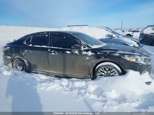 4T1G11AK6LU980425 Toyota CAMRY SE