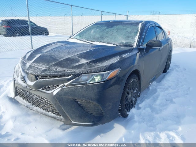 4T1G11AK6LU980425 Toyota CAMRY SE