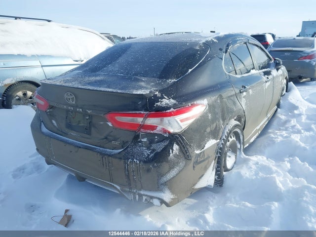 4T1G11AK6LU980425 Toyota CAMRY SE