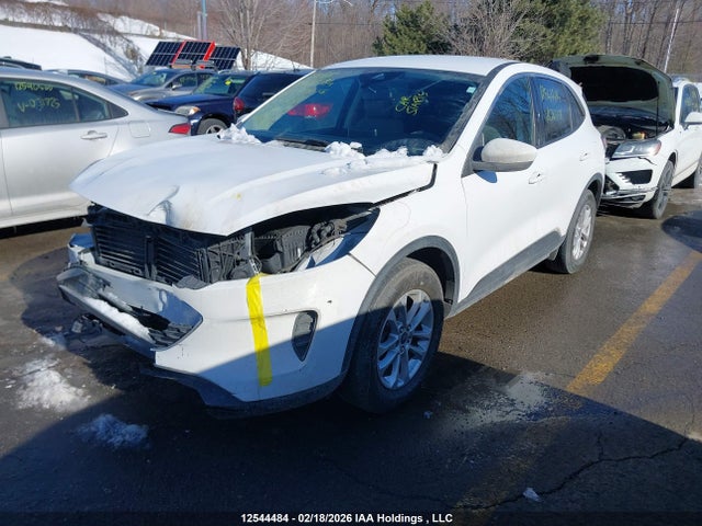 2020 Ford Escape Se მანქანა იყიდება აუქციონზე, vin: 1FMCU9G65LUC26558, აუქციონის ნომერი: 12544484