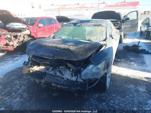 12525982 :رقم المزاد ، 1N4AA5AP7CC804038 vin ، 2012 Nissan Maxima Sv مزاد بيع