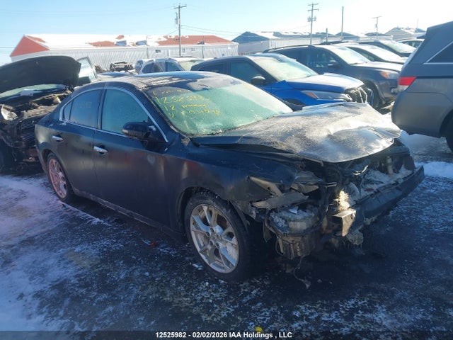 12525982 :رقم المزاد ، 1N4AA5AP7CC804038 vin ، 2012 Nissan Maxima Sv مزاد بيع