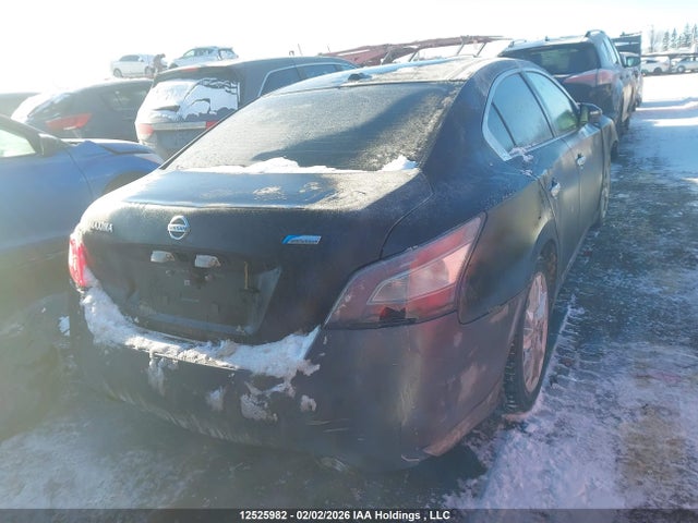 12525982 :رقم المزاد ، 1N4AA5AP7CC804038 vin ، 2012 Nissan Maxima Sv مزاد بيع
