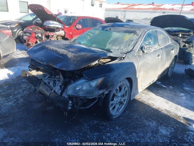 12525982 :رقم المزاد ، 1N4AA5AP7CC804038 vin ، 2012 Nissan Maxima Sv مزاد بيع