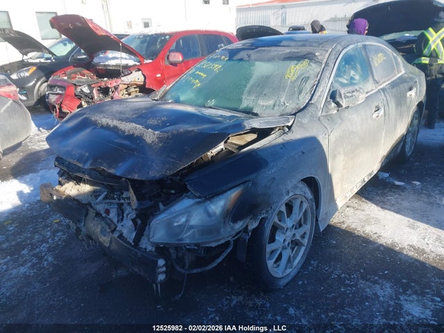12525982 :رقم المزاد ، 1N4AA5AP7CC804038 vin ، 2012 Nissan Maxima Sv مزاد بيع