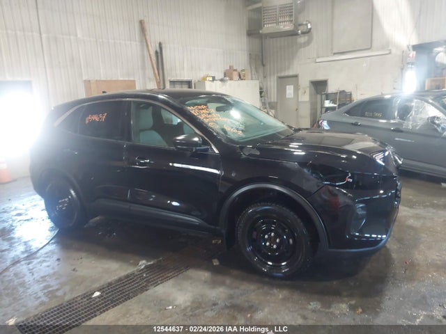 Aukcja sprzedaży 2024 Ford Escape Active, vin: 1FMCU9GN7RUA46479, numer aukcji: 12544637