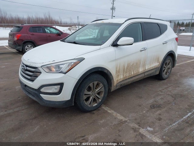5XYZU3LB8GG337238 Hyundai Santa Fe Sport 2.4 Premium