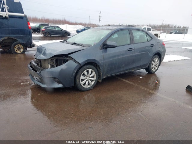 2T1BURHE2GC704900 Toyota COROLLA LE