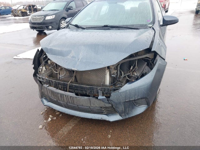 2T1BURHE2GC704900 Toyota COROLLA LE