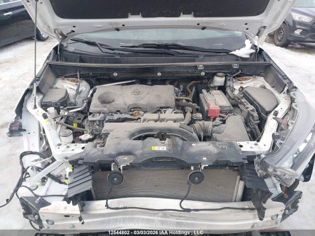 Продажа на аукционе авто 2020 Toyota Rav4 Le, vin: 2T3B1RFV1LW101920, номер лота: 12544802