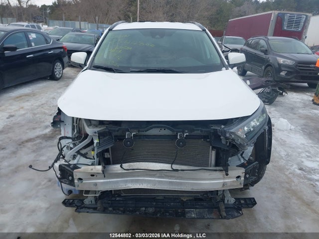 Продажа на аукционе авто 2020 Toyota Rav4 Le, vin: 2T3B1RFV1LW101920, номер лота: 12544802