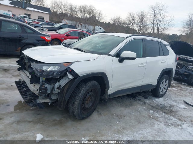 Продажа на аукционе авто 2020 Toyota Rav4 Le, vin: 2T3B1RFV1LW101920, номер лота: 12544802