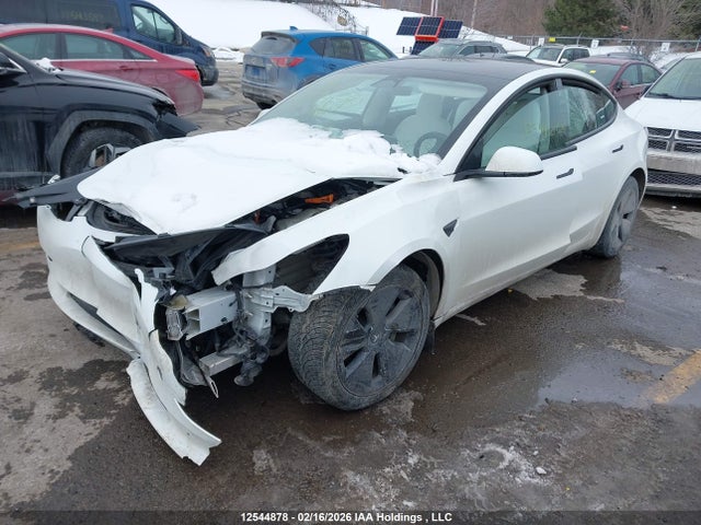 Aukcja sprzedaży 2023 Tesla Model 3 Rwd, vin: 5YJ3E1EA3PF400703, numer aukcji: 12544878