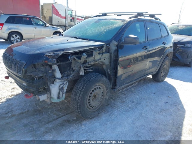 12544917 :رقم المزاد ، 1C4PJMBX7LD545963 vin ، 2020 Jeep Cherokee Trailhawk مزاد بيع
