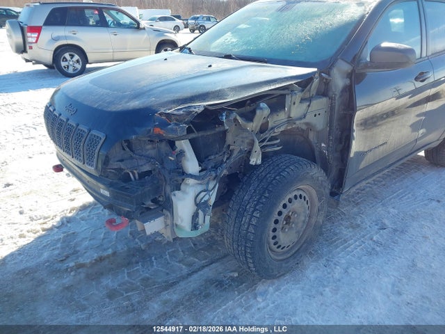 12544917 :رقم المزاد ، 1C4PJMBX7LD545963 vin ، 2020 Jeep Cherokee Trailhawk مزاد بيع