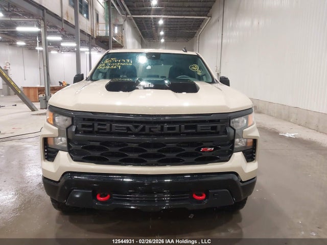 3GCPDCED3NG610669 Chevrolet Silverado K1500 Trail Boss Custom