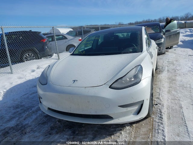 Tesla Model 3 Long Range/mid Range/standard Range/standard Range Plus 2019 5YJ3E1EA7KF480371 Image 12
