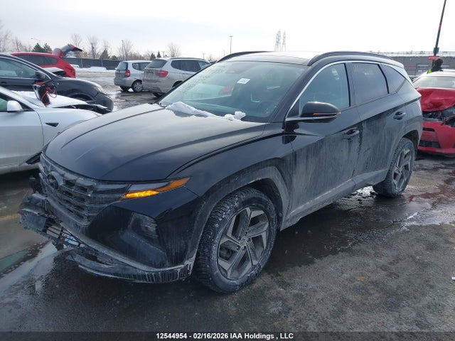 KM8JCCA17PU115536 Hyundai Tucson Luxury Hybrid Awd