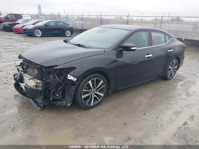 1N4AA6DV1PC510348 Nissan MAXIMA SL