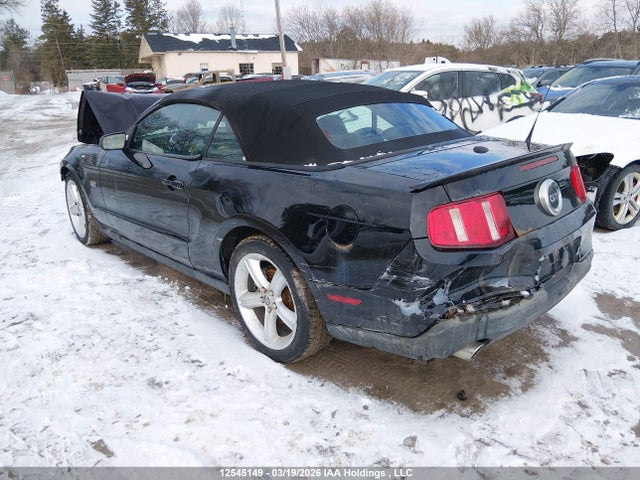 12545149 :رقم المزاد ، 1ZVBP8FH3A5111062 vin ، 2010 Ford Mustang Gt مزاد بيع