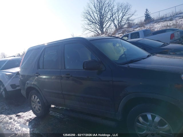 2006 Honda Cr-v Ex მანქანა იყიდება აუქციონზე, vin: JHLRD78846C810059, აუქციონის ნომერი: 12545250