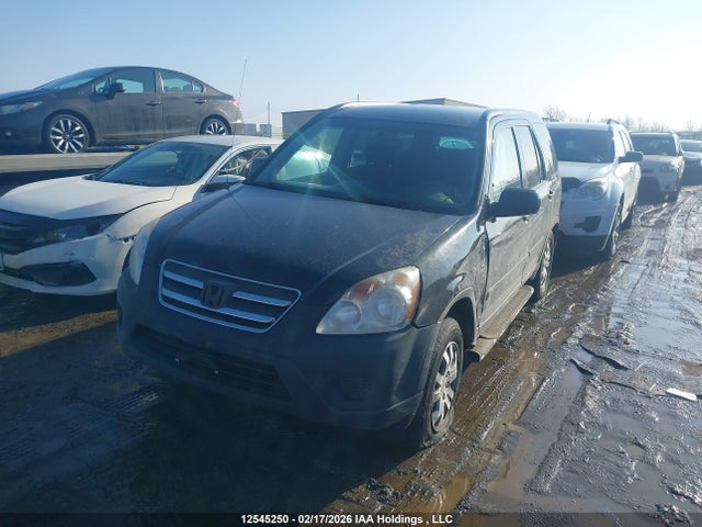 2006 Honda Cr-v Ex მანქანა იყიდება აუქციონზე, vin: JHLRD78846C810059, აუქციონის ნომერი: 12545250