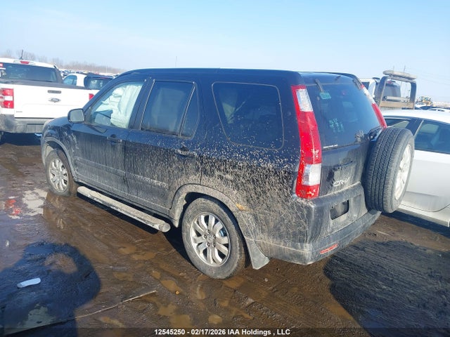 2006 Honda Cr-v Ex მანქანა იყიდება აუქციონზე, vin: JHLRD78846C810059, აუქციონის ნომერი: 12545250