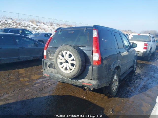 2006 Honda Cr-v Ex მანქანა იყიდება აუქციონზე, vin: JHLRD78846C810059, აუქციონის ნომერი: 12545250