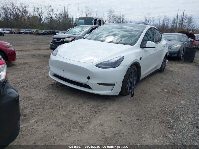 Aukcja sprzedaży 2023 Tesla Model Y Long Range, vin: LRWYGDEE5PC028800, numer aukcji: 12545307