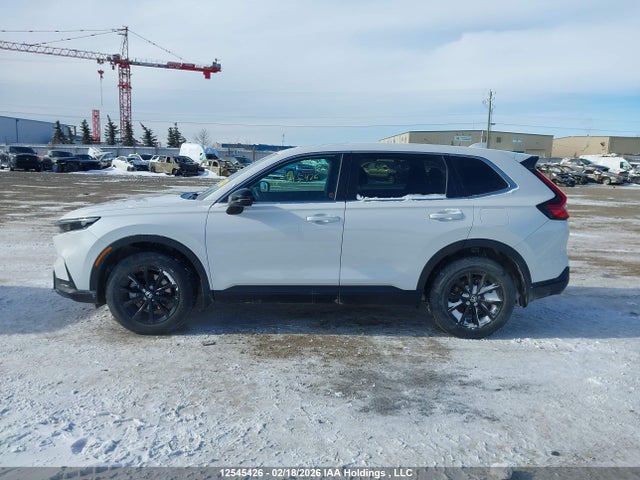 2HKRS6H79RH215463 Honda CR-V EXL