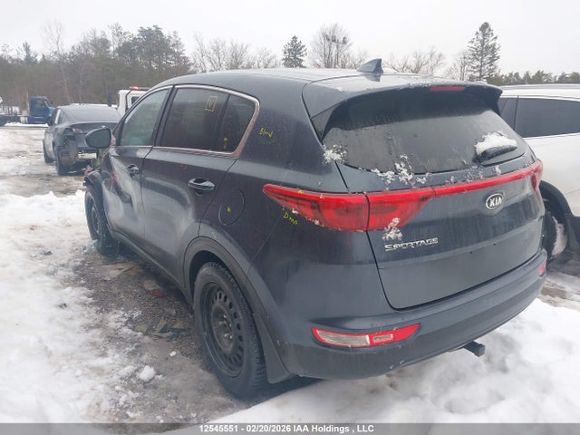 12545551 :رقم المزاد ، KNDPM3AC5H7150850 vin ، 2017 Kia Sportage مزاد بيع