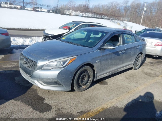 KMHE24L10GA008336 Hyundai Sonata Hybrid Hybrid