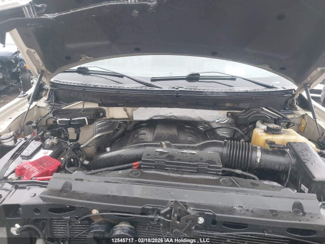 12545717 :رقم المزاد ، 1FTFW1ET1DFA97102 vin ، 2013 Ford F150 Supercrew مزاد بيع