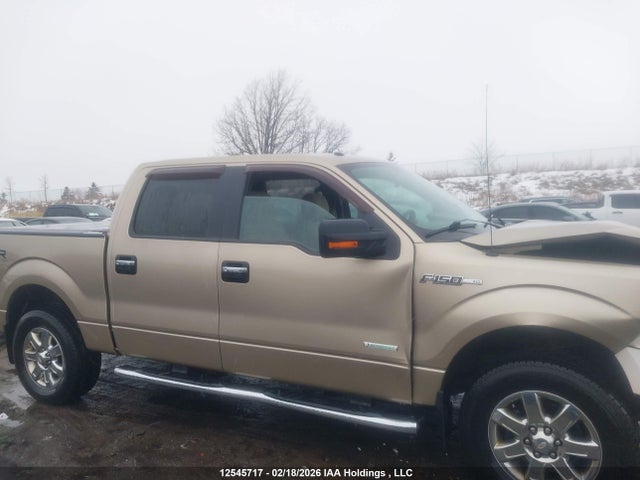 12545717 :رقم المزاد ، 1FTFW1ET1DFA97102 vin ، 2013 Ford F150 Supercrew مزاد بيع
