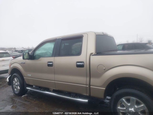 12545717 :رقم المزاد ، 1FTFW1ET1DFA97102 vin ، 2013 Ford F150 Supercrew مزاد بيع
