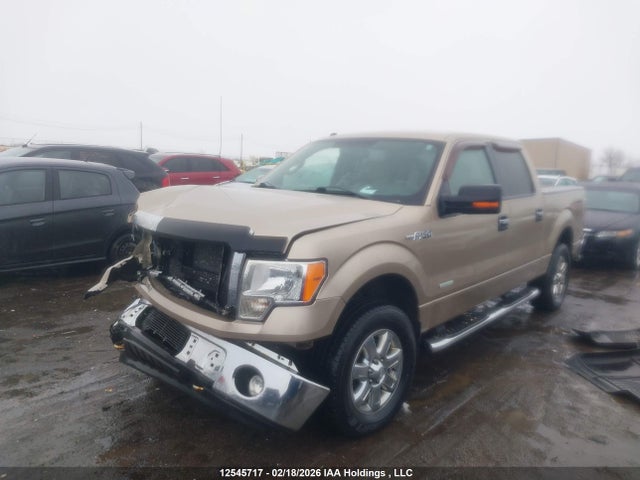 12545717 :رقم المزاد ، 1FTFW1ET1DFA97102 vin ، 2013 Ford F150 Supercrew مزاد بيع