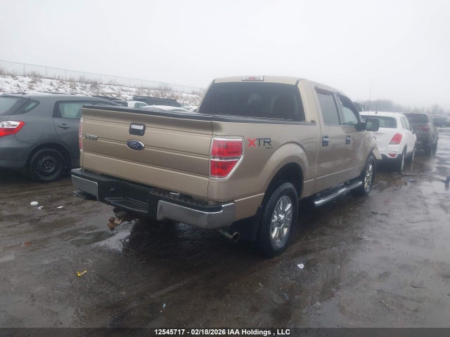 12545717 :رقم المزاد ، 1FTFW1ET1DFA97102 vin ، 2013 Ford F150 Supercrew مزاد بيع