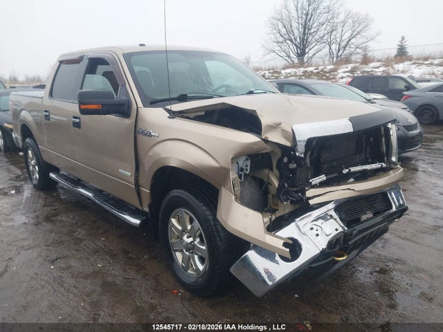 12545717 :رقم المزاد ، 1FTFW1ET1DFA97102 vin ، 2013 Ford F150 Supercrew مزاد بيع