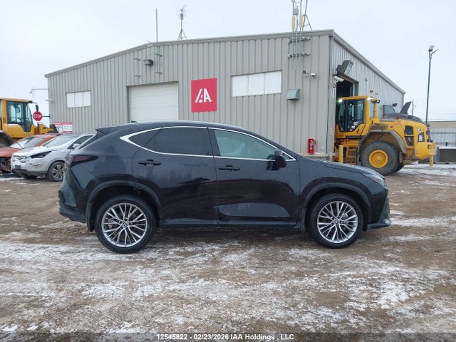 2T2GGCEZ5SC074649 Lexus Nx 350 Premium