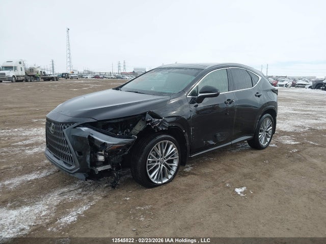2T2GGCEZ5SC074649 Lexus Nx 350 Premium