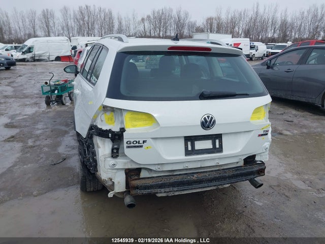 3VWH17AU6HM517433 Volkswagen Golf Alltrack 1.8 Tsi