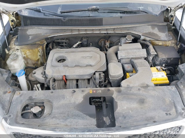 5XYPG4A33JG381266 KIA Sorento