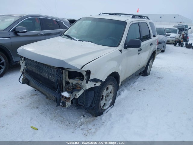 Aukcja sprzedaży 2010 Ford Escape Xlt Automatic, vin: 1FMCU9D77AKC02591, numer aukcji: 12546365