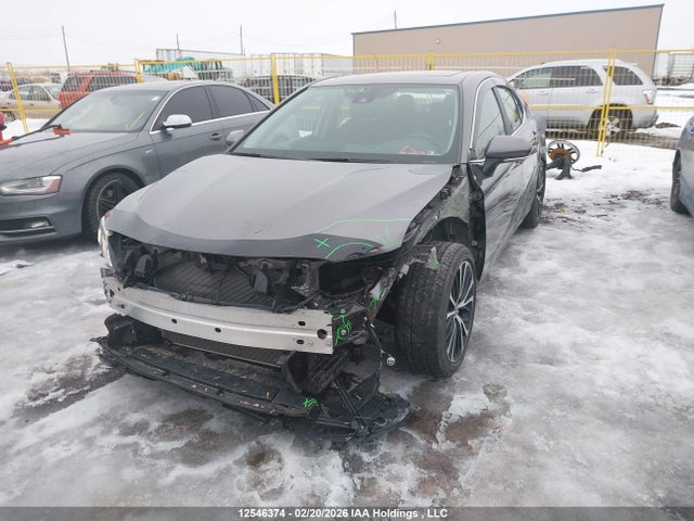 4T1J11AK0LU380215 Toyota CAMRY SE