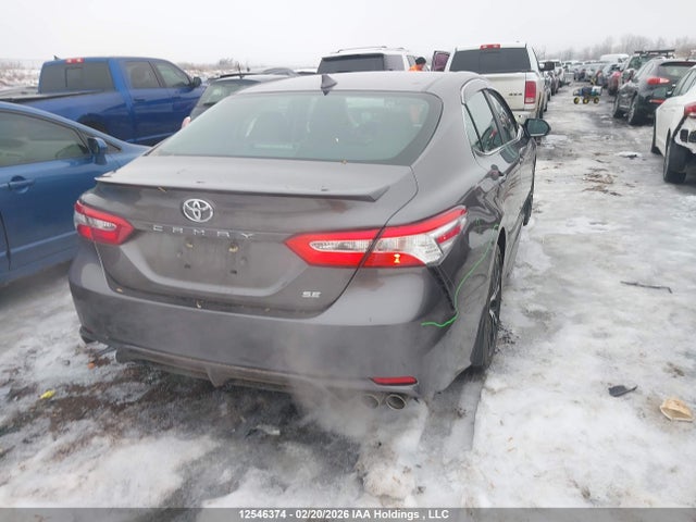 4T1J11AK0LU380215 Toyota CAMRY SE