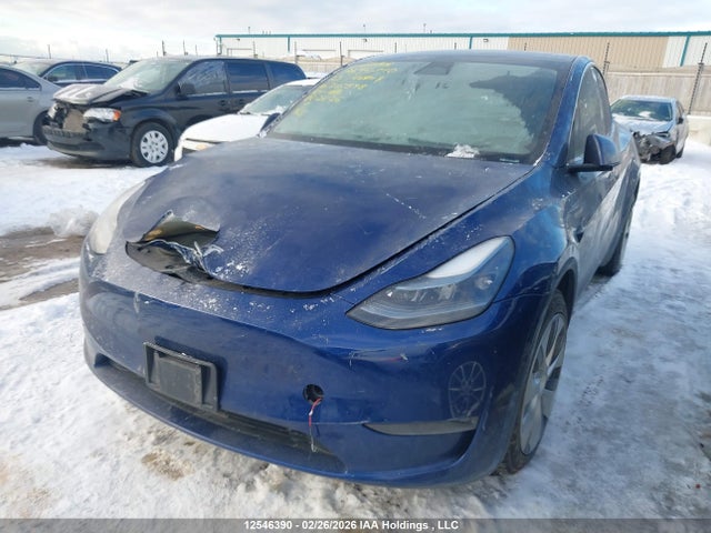 Aukcja sprzedaży 2023 Tesla Model Y, vin: LRWYGDEEXPC265878, numer aukcji: 12546390