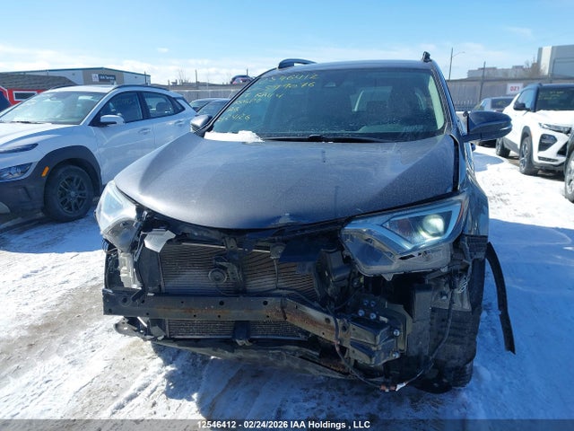 2T3BFREV1HW599076 Toyota RAV4 LE