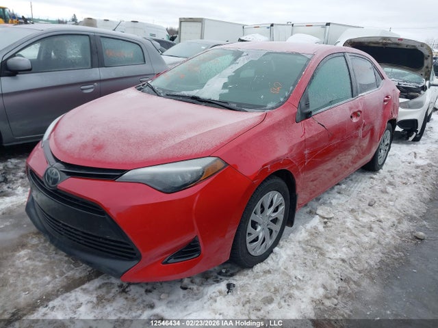 12546434 :رقم المزاد ، 2T1BURHEXKC151812 vin ، 2019 Toyota Corolla L/le/xle/se/xse مزاد بيع