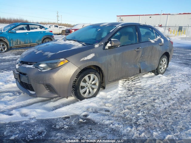 2T1BURHE0GC566922 Toyota COROLLA LE